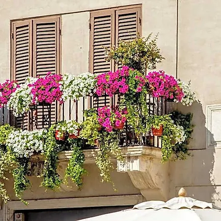 Visits 4* Rome