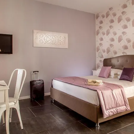 Visits Guest house Rome